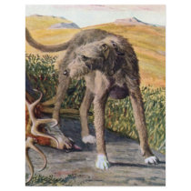 Scottish deerhound
