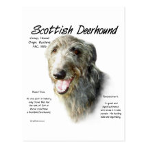 Scottish Deerhound History Design Postcard