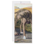 Scottish deerhound rack cards