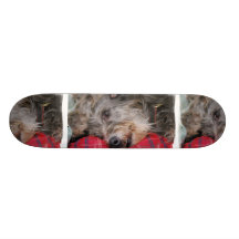 Scottish Deerhound  Skateboard