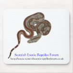 Scottish Exotic Reptiles Forum MouseMat mousepads
