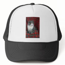 Scottish Fold, blue and white bi-colour Mesh Hat