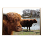 Scottish Highland cattle ~ ATC business cards