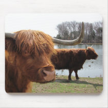 Scottish Highland Cattle ~ mousepad