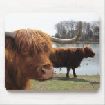 Scottish Highland Cattle ~ mousepad