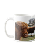 Scottish Highland Cattle ~ mug