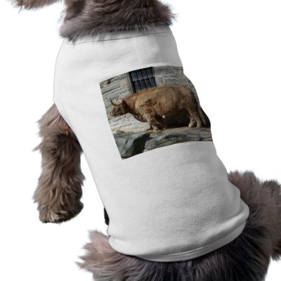 Scottish Highland Cattle Portrait Doggie T Shirt by thekingchivas
