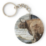 Scottish Highland Cattle Portrait keychains
