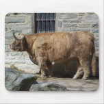 Scottish Highland Cattle Portrait mousepads