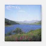 Scottish Loch Magnet