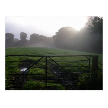 Scottish morning dew post card