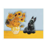 Scottish Terrier 3 - Sunflowers postcards