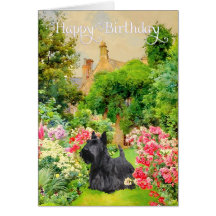 Scottish Terrier Birthday Card