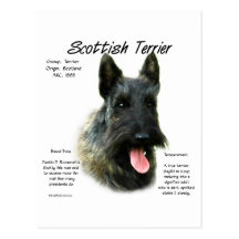 Scottish Terrier (brindle) History Design Postcards