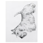 Scottish Terrier flyers