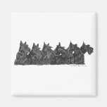 Scottish Terrier Gathering Magnets