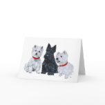 Scottish Terrier Greeting Card