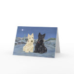 Scottish Terrier Greeting Card