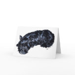 Scottish Terrier Greeting Card