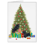 Scottish Terrier Greeting Card