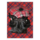 Scottish Terrier Greeting Card