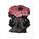 Scottish Terrier in a Tam-o-Shanter Post Card
