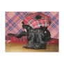 Scottish Terrier in a Tam-o-Shanter Postcard