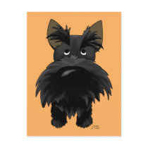 Scottish Terrier Postcard
