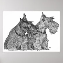 Scottish Terrier Poster