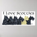 Scottish Terrier Poster