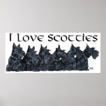 Scottish Terrier Poster