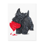 Scottish Terrier Valentine Postcard