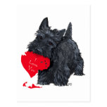 Scottish Terrier Valentine Postcard