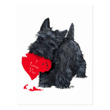 Scottish Terrier Valentine Postcard