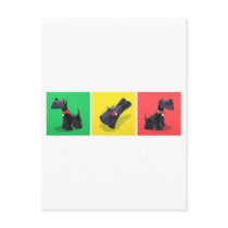 Scottish Terriers postcards