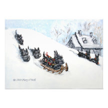 Scottish Terriers Sledding Announcement