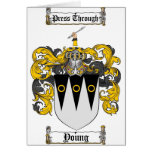 Scottish Young Coat of Arms Stein - Family Crest cards