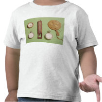 Scott's compass, thermometer, sundial, tees