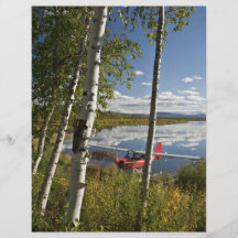 Scout on Kanuti Lake Flyers