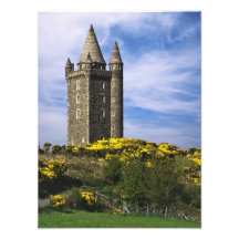Scrabo Tower Photographic Print