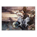 Scrap metal still life cards