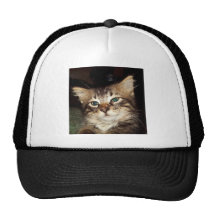 Scrapper Kitten Mesh Hats
