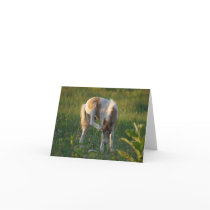 Scratch an Itch Next Little Play Day Greeting Card