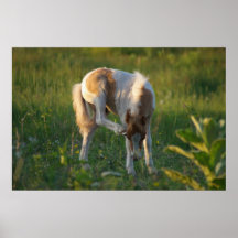 Scratch an Itch Next Little Play Day Print