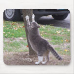Scratchin" Post Tree, Mousepad