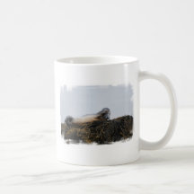 Scratching Seal Coffee Mug