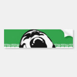 Scream Iran Bumper Sticker