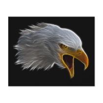 Screaming American Bald Eagle Head Flyer Design