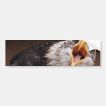 Screaming Eagle Bumper Sticker