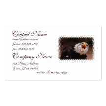 Screaming Eagle Business Cards